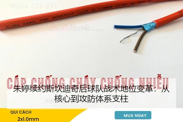 朱婷续约斯坎迪奇后球队战术地位变革：从核心到攻防体系支柱